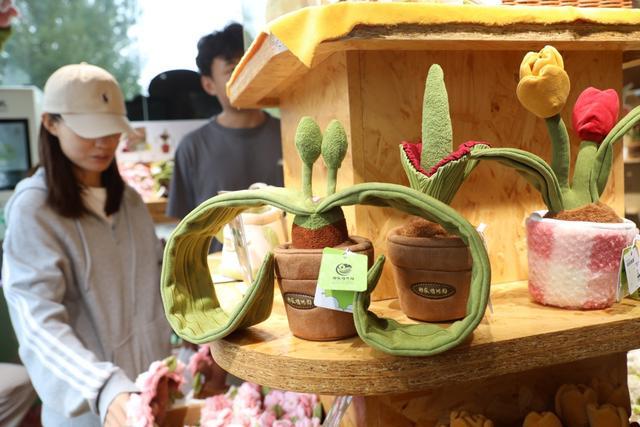 新 “镇园之宝千岁兰”造型既独特又可爱CQ9电子登录国家植物园文创秋季新品上