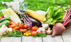 _中研普华行业研究网CQ9电子行业经济(图9)