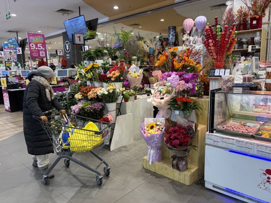 春日市场 撑起消费“半边天”CQ9电子最